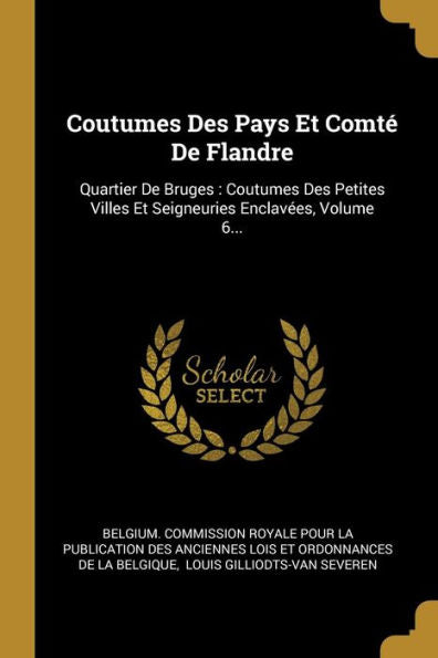 Coutumes Des Pays Et Comté De Flandre: Quartier De Bruges: Coutumes Des Petites Villes Et Seigneuries Enclavées, Volume 6... (French Edition)