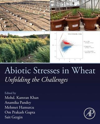 Abiotic Stresses In Wheat: Unfolding The Challenges