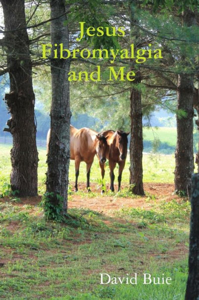 Jesus Fibromyalgia And Me