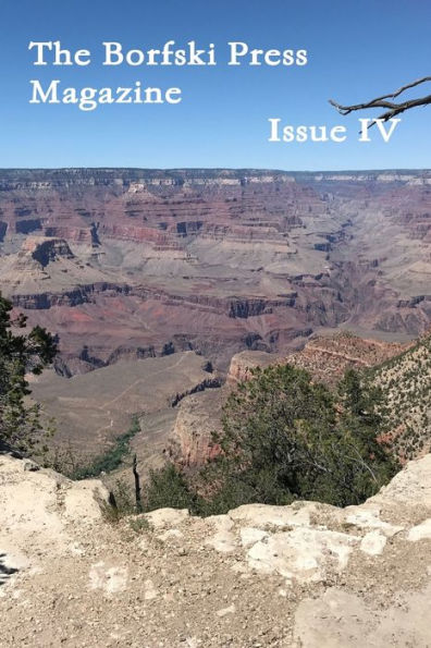 Issue Iv (Paperback)