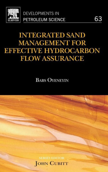 Integrated Sand Management For Effective Hydrocarbon Flow Assurance (Volume 63) (Developments In Petroleum Science, Volume 63)