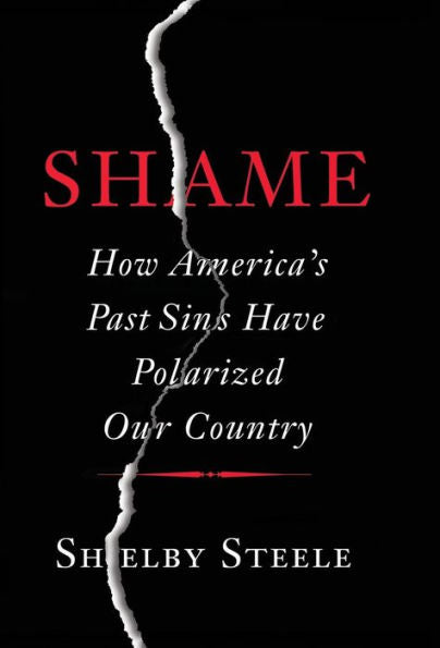 Shame: How America's Past Sins Have Polarized Our Country