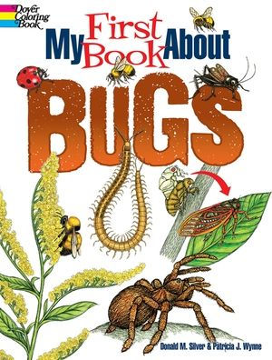 My First Book About Bugs (Dover Science For Kids Coloring Books)