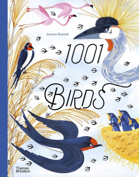 1001 pájaros