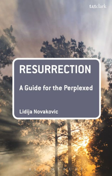 Resurrección: Una guía para los perplejos (Guías para los perplejos)