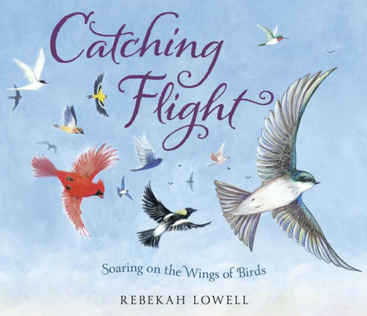 Catching Flight: Soaring On The Wings Of Birds