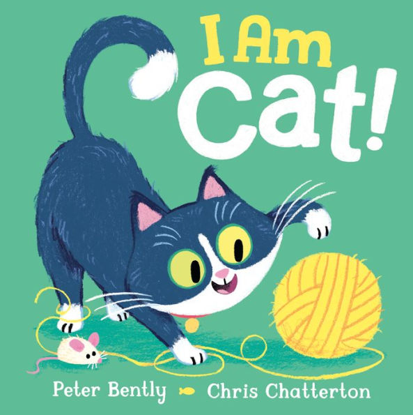¡Yo soy gato!