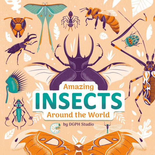 Amazing Insects Around The World