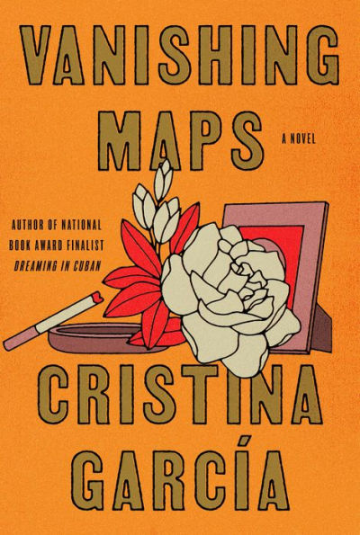 Vanishing Maps: A Novel