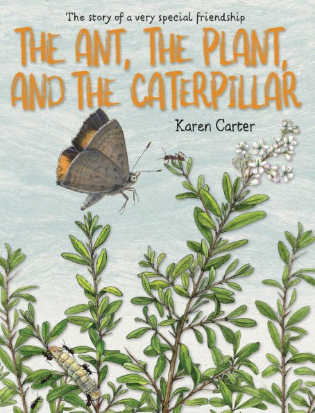The Ant, The Plant, And The Caterpillar
