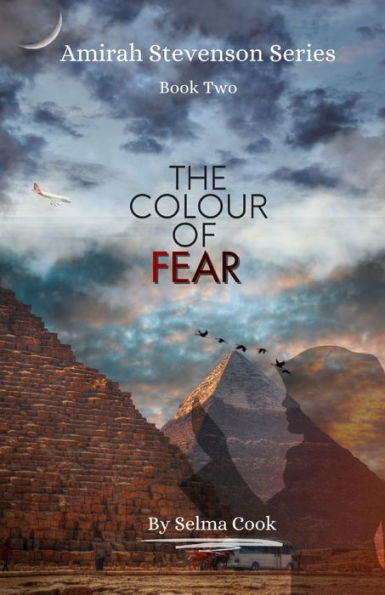 The Colour Of Fear: Amirah Stevenson Series Book Two