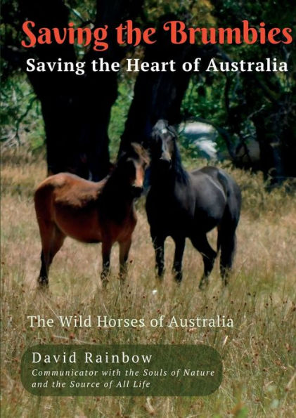 Saving The Brumbies - Saving The Heart Of Australia