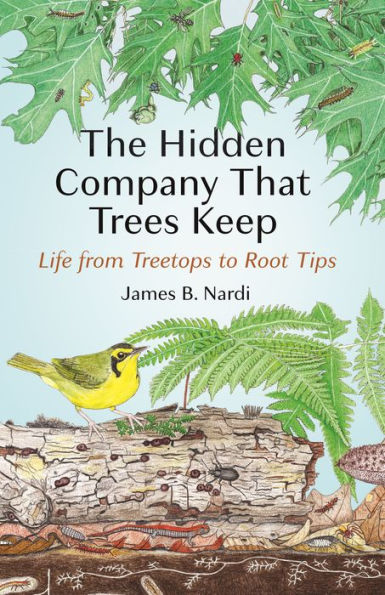 The Hidden Company That Trees Keep: Life From Treetops To Root Tips