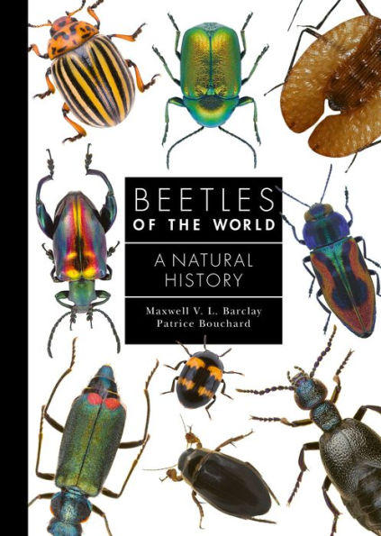 Beetles Of The World: A Natural History (A Guide To Every Family, 7)