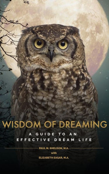 Wisdom Of Dreaming: A Guide To An Effective Dream Life (Dreamosophy Approach)