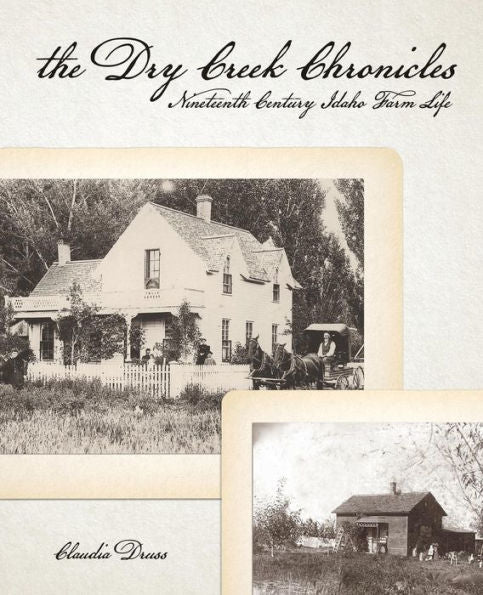 The Dry Creek Chronicles: 19Th Century Idaho Farm Life