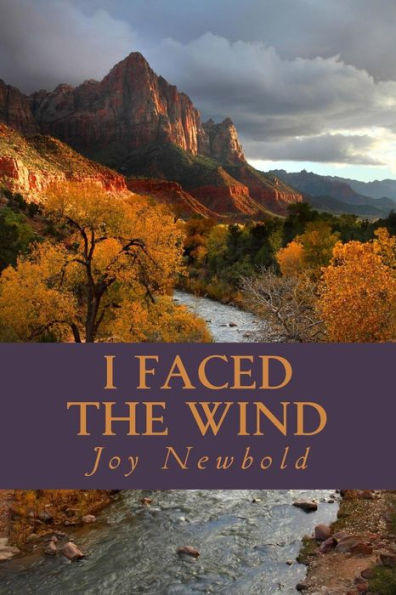 I Faced The Wind: A Frontier Saga