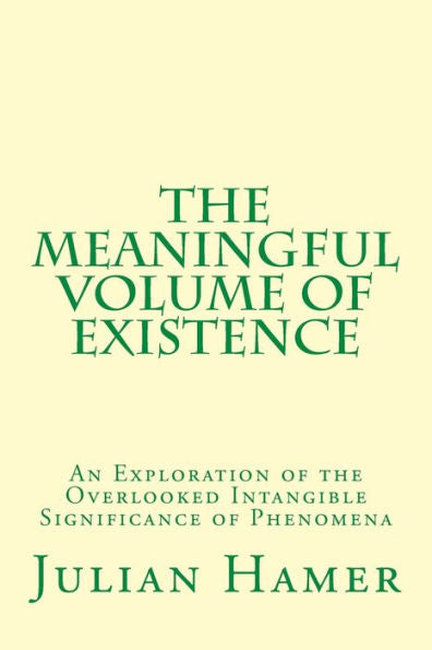 The Meaningful Volume Of Existence: An Exploration Of The Overlooked Intangible Significance Of Phenomena