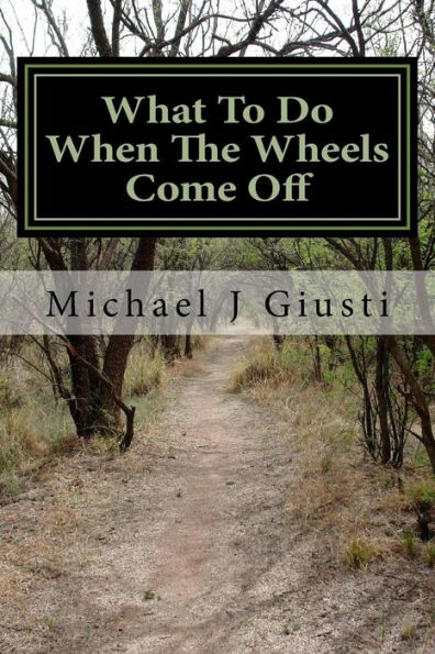 What To Do When The Wheels Come Off: Strange Observations And Reckless Advice About Life And Disability