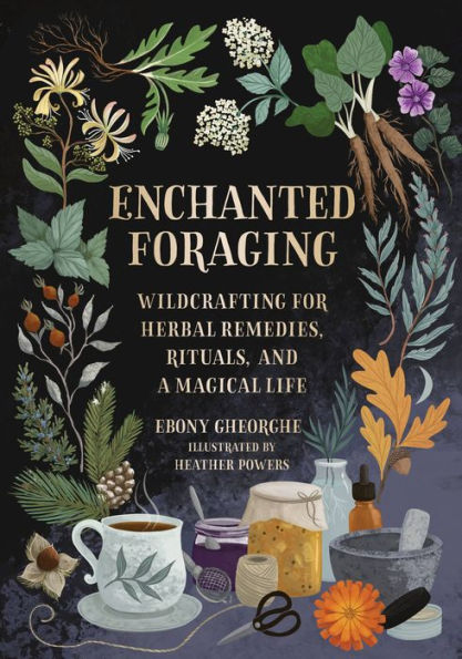Enchanted Foraging: Wildcrafting For Herbal Remedies, Rituals, And A Magical Life