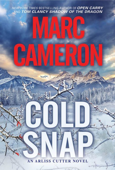 Cold Snap: An Action Packed Novel Of Suspense (An Arliss Cutter Novel)