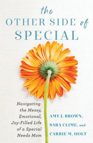 Other Side Of Special: Navigating The Messy, Emotional, Joy-Filled Life Of A Special Needs Mom