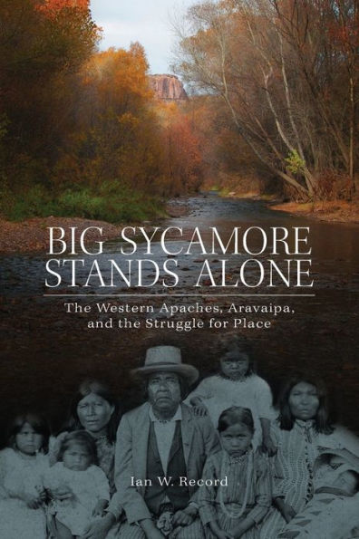 Big Sycamore Stands Alone (New Directions In Native American Studies Series) (Volume 1)