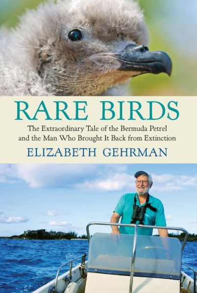 Rare Birds: The Extraordinary Tale Of The Bermuda Petrel And The Man Who Brought It Back From Extinction