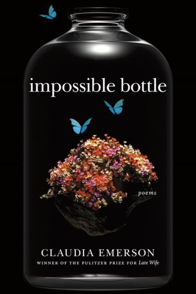 Impossible Bottle: Poems (Southern Messenger Poets) - 9780807160831