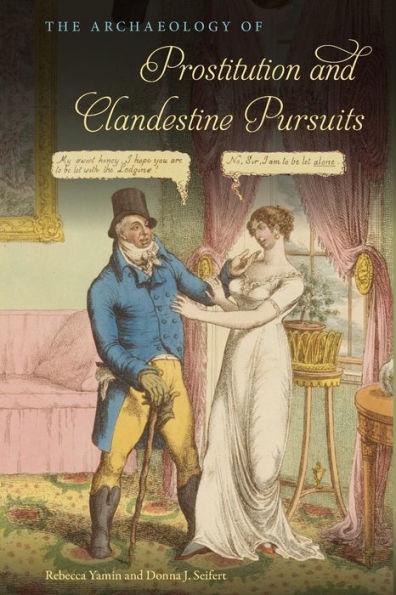 The Archaeology Of Prostitution And Clandestine Pursuits (The American Experience In Archaeological Perspective)