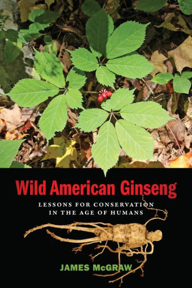 Wild American Ginseng: Lessons For Conservation In The Age Of Humans