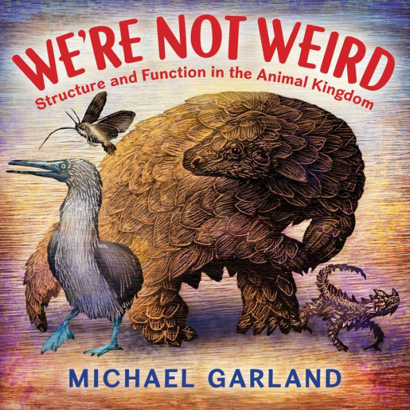 We'Re Not Weird: Structure And Function In The Animal Kingdom