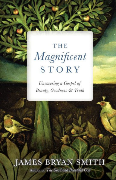 The Magnificent Story: Uncovering A Gospel Of Beauty, Goodness, And Truth (Apprentice Resources)
