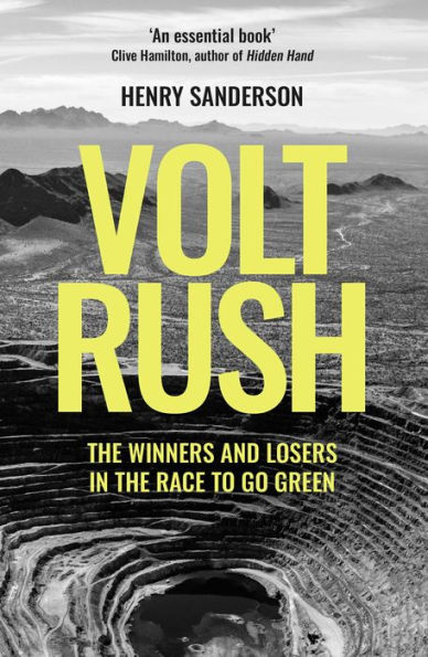 Volt Rush: The Winners And Losers In The Race To Go Green