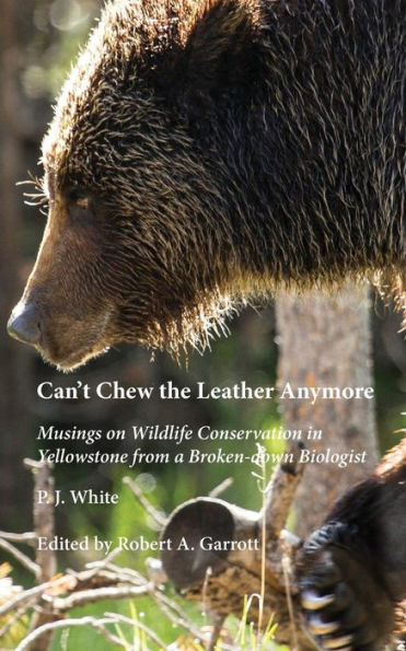 Can'T Chew The Leather Anymore: Musings On Wildlife Conservation In Yellowstone From A Broken-Down Biologist