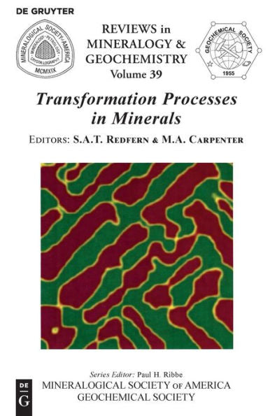 Transformation Processes In Minerals (Reviews In Mineralogy And Geochemistry)
