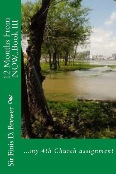 12 Months From Now..Book Iii: ...My 4Th Church Assignment