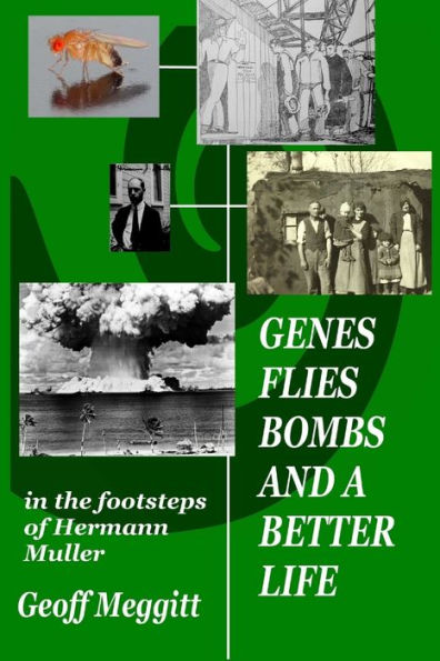 Genes, Flies, Bomb And A Better Life