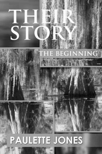 Theirstory: The Begginning