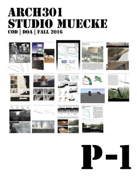 P1: Project 1, Arch301 Studio Muecke