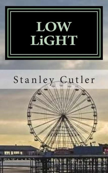 Low Light: A Novel (Rubin Family / Dave Levitan Mysteries)