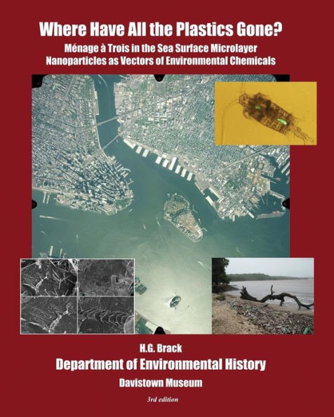 Where Have All The Plastics Gone?: Menage A Trois In The Sea Surface Microlayer: Nanoparticles As Vectors Of Environmental Chemicals (Phenomenology Of Biocatastrophe)