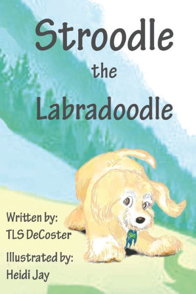 Stroodle The Labradoodle