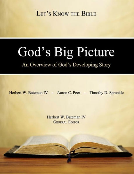 God's Big Picture: An Overview Of God's Developing Story