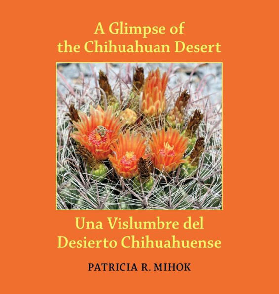 A Glimpse Of The Chihuahuan Desert/Una Vislumbre Del Desierto Chihuahuense