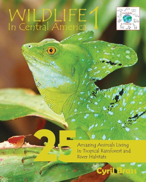 Wildlife In Central America 1: 25 Amazing Animals Living In Tropical Rainforest And River Habitats (Wildlife Around The World)