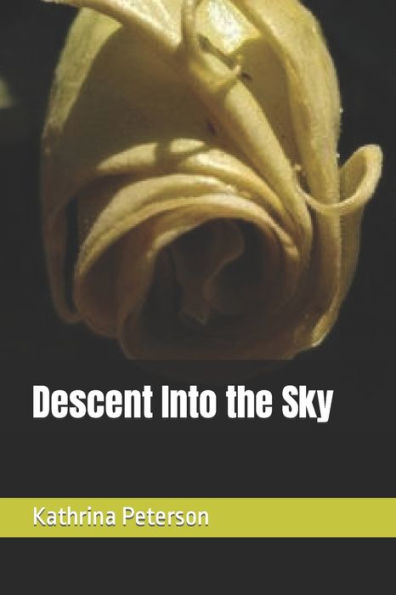 Descent Into The Sky