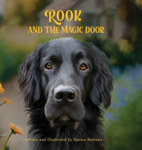 Rook And The Magic Door: Written And Illustrated By Danica Barreau