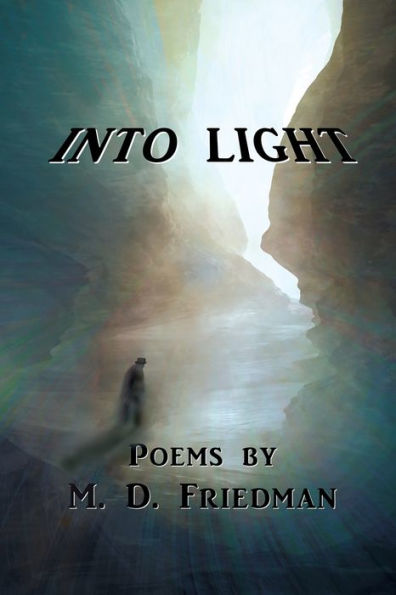 Into Light: Poems By M. D. Friedman