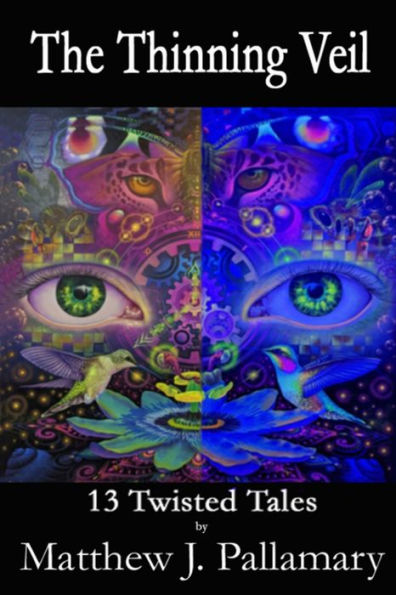 The Thinning Veil: 13 Twisted Tales